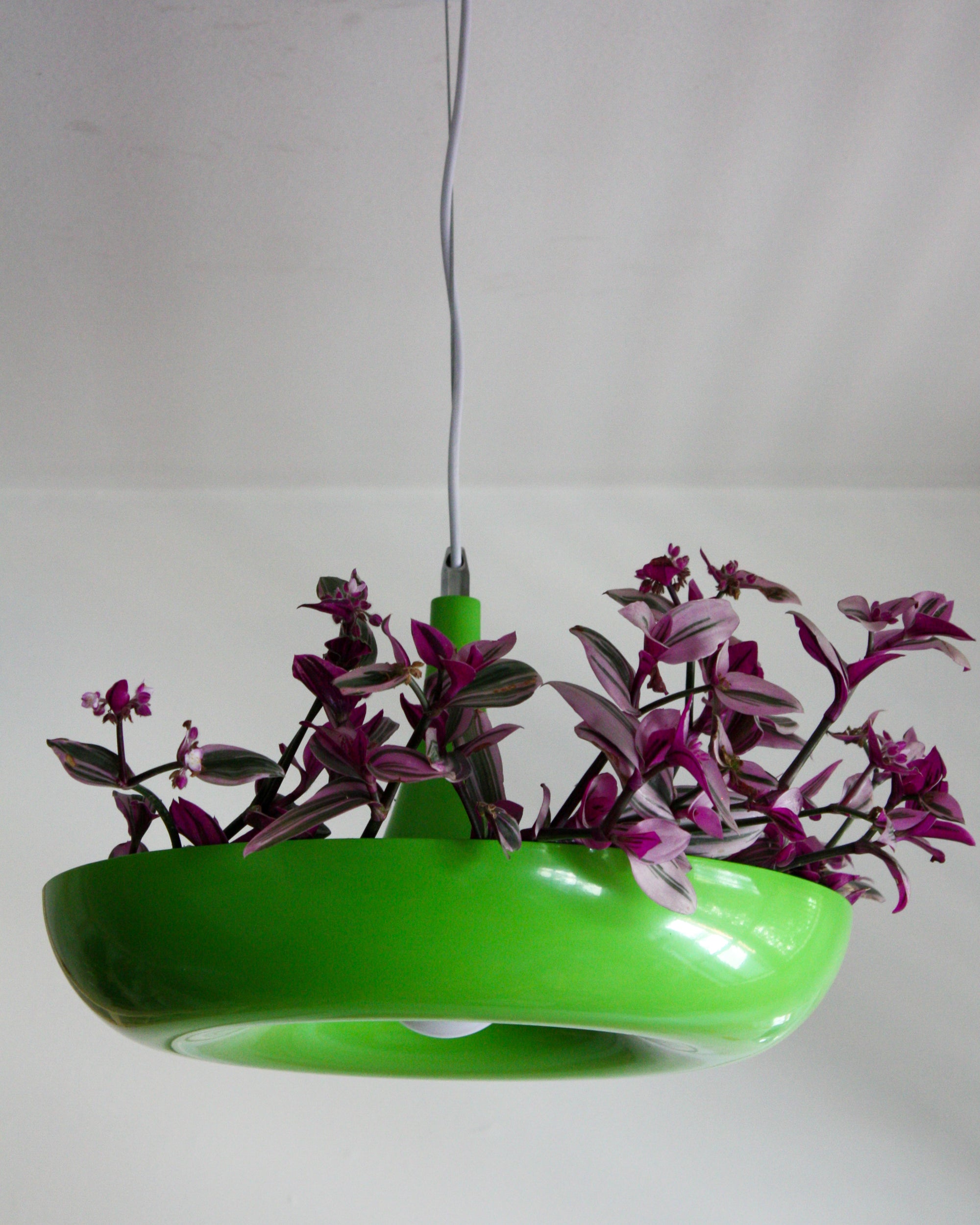 Planter Pendant Lamp