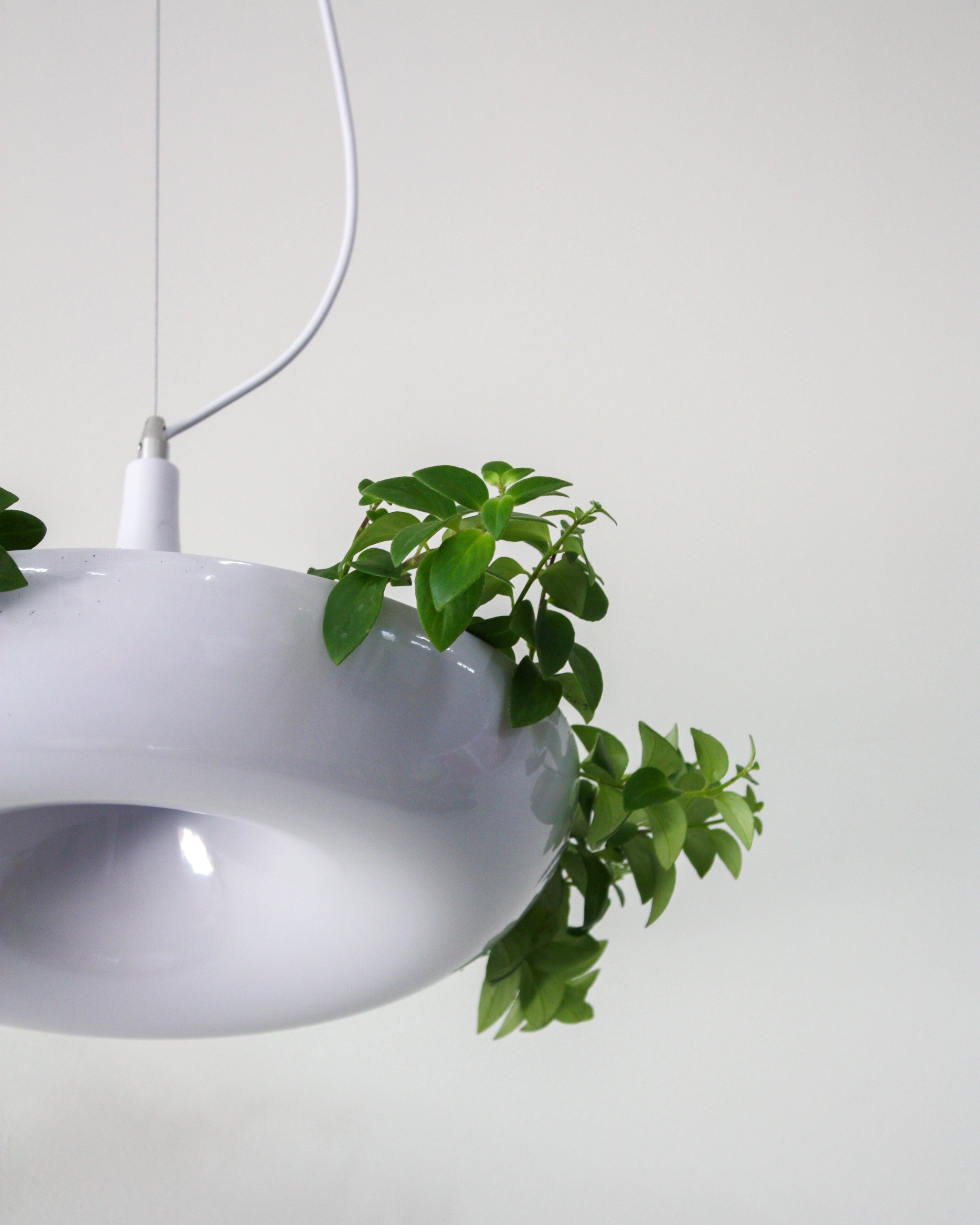 hanging plant lamp Planter Pendant Lamp – Dupe