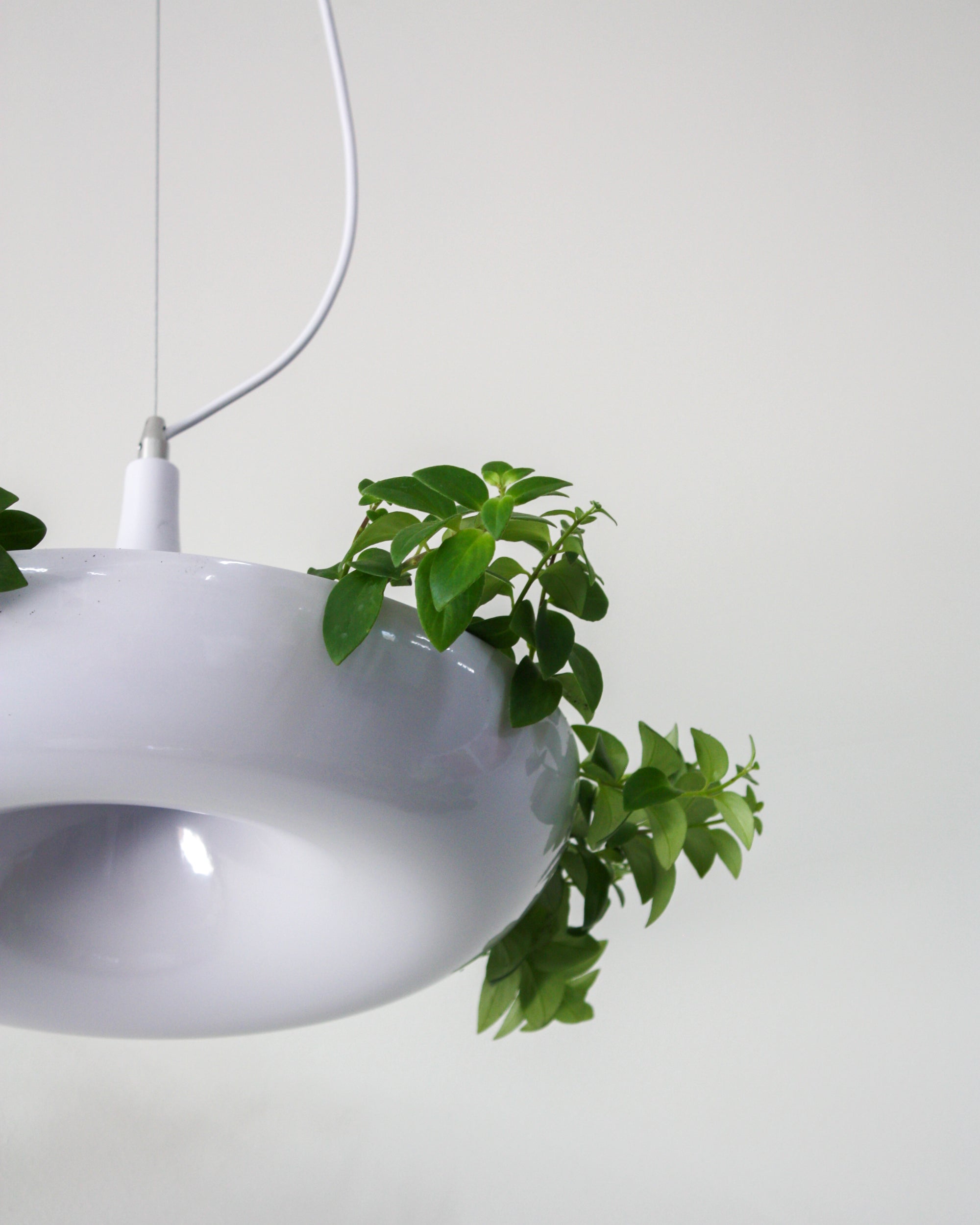 Planter Pendant Lamp