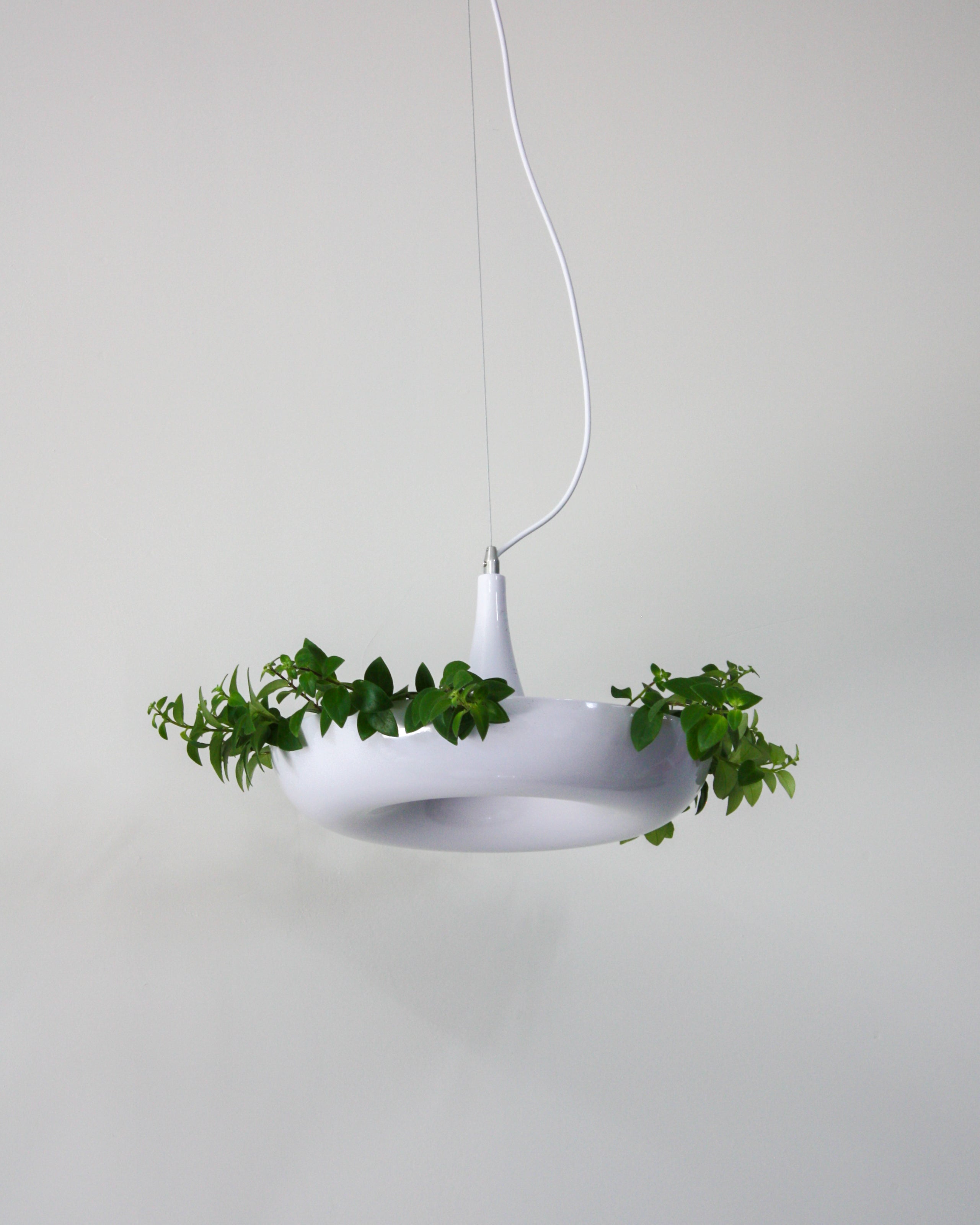 hanging light with planter Planter Pendant Lamp – Dupe