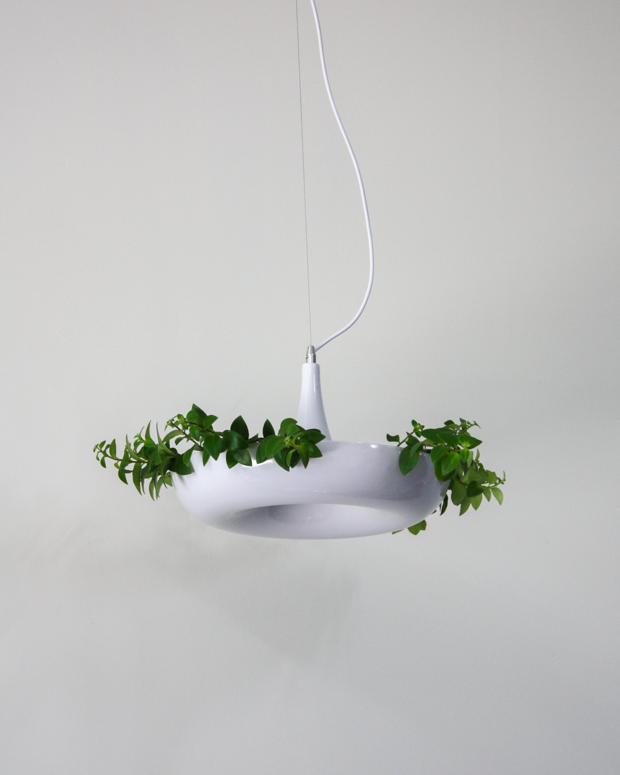 Planter Pendant Lamp